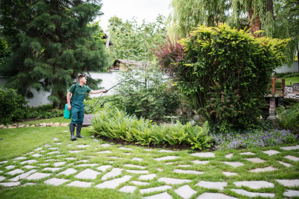 Best Mosquito Control Services  in Shoreview, MN