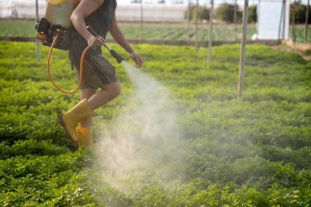 Best Pest Inspection Near Me  in Shoreview, MN