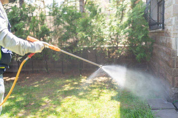 Best Residential Pest Control  in Shoreview, MN