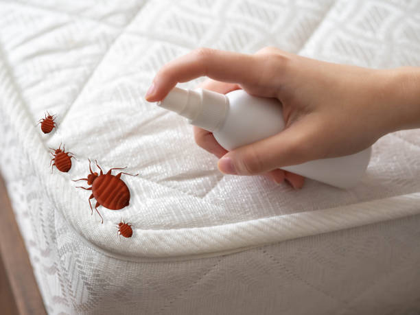  Shoreview, MN Pest Control Pros