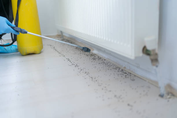 Best Pest Control Near Me  in Shoreview, MN