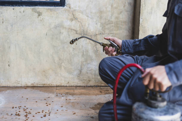 Best Termite Control Services  in Shoreview, MN
